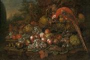 Francis Sartorius Still life with fruits and a parrot Spain oil painting artist